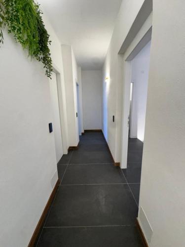 The Better in San Giorgio A Cremano, Italy