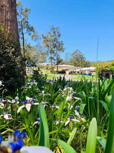 Tranquillity on Point in Port Macquarie, Australia