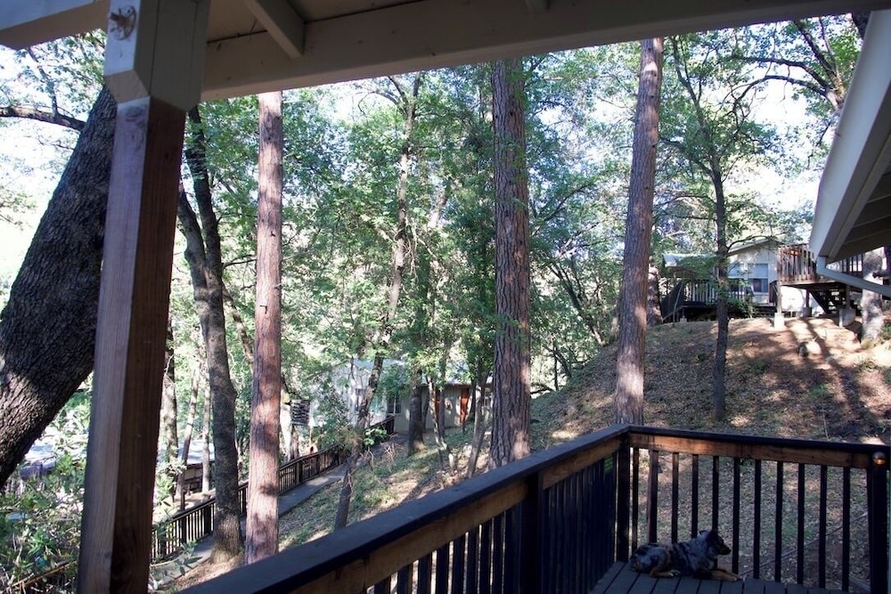Yosemite Bug Rustic Mountain Resort - photo 65