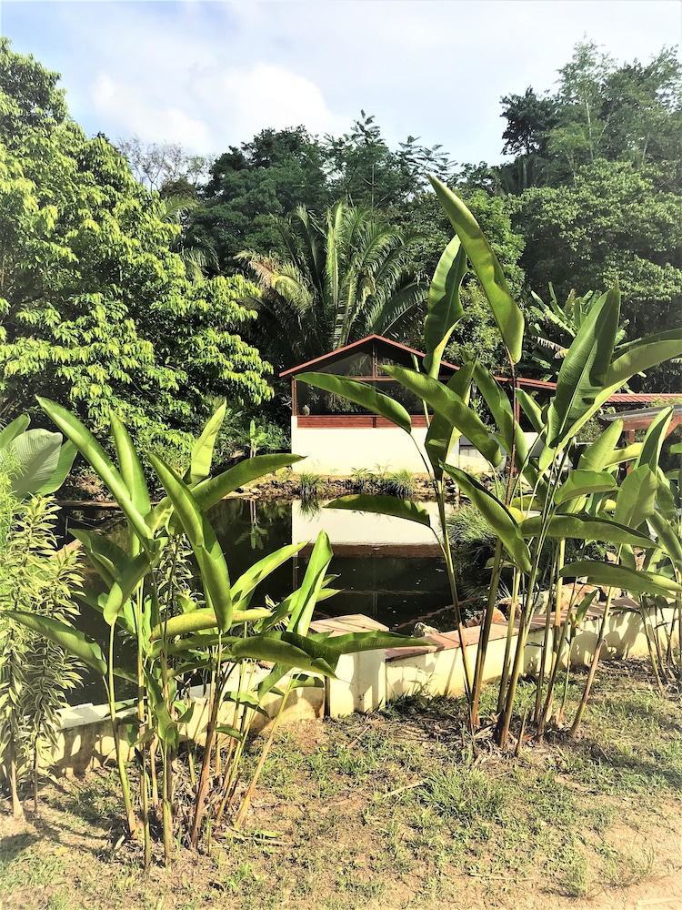 Sattva Land in Belmopan, Belize