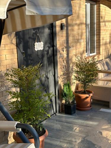 2BR Terrace Bagrati View Parking