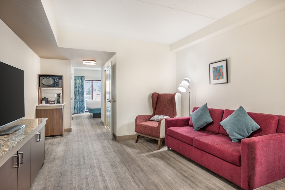 Hilton Garden Inn Wisconsin Dells - photo 37