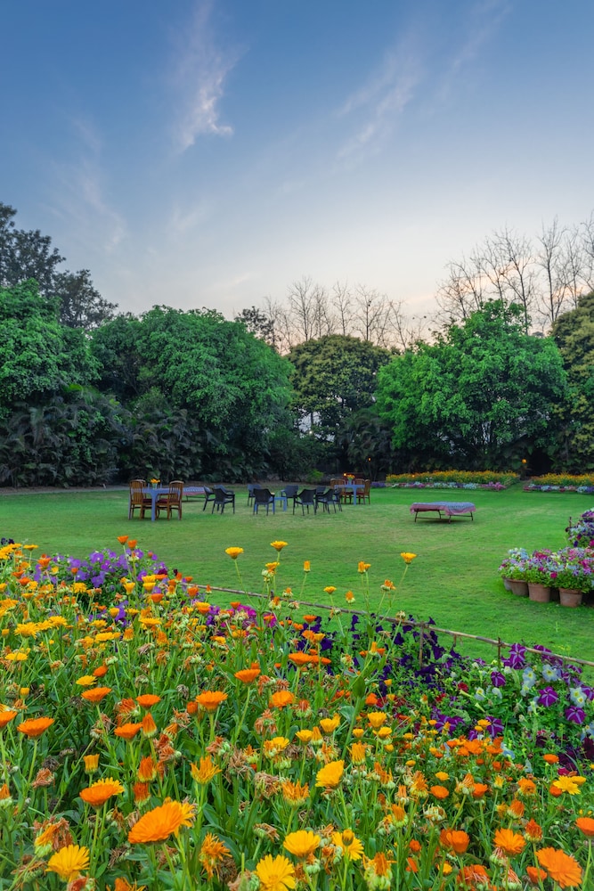 Citrus County Hoshiarpur Amã Stays & Trails — hotel in Hoshiarpur