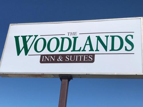 Woodlands Inn & Suites - photo 29