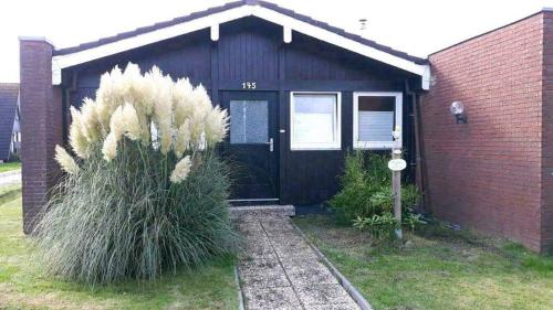 Studiohaus Piratenweg 145 — Butjadingen