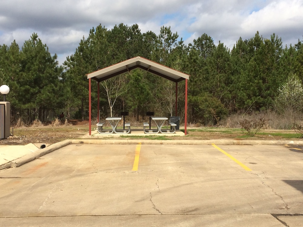 Quality Inn near Parc Natchitoches - photo 20