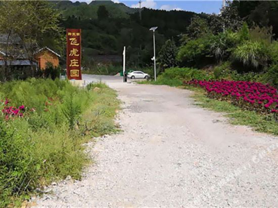 Tiger manor resort - last minute hotel in Unknown City