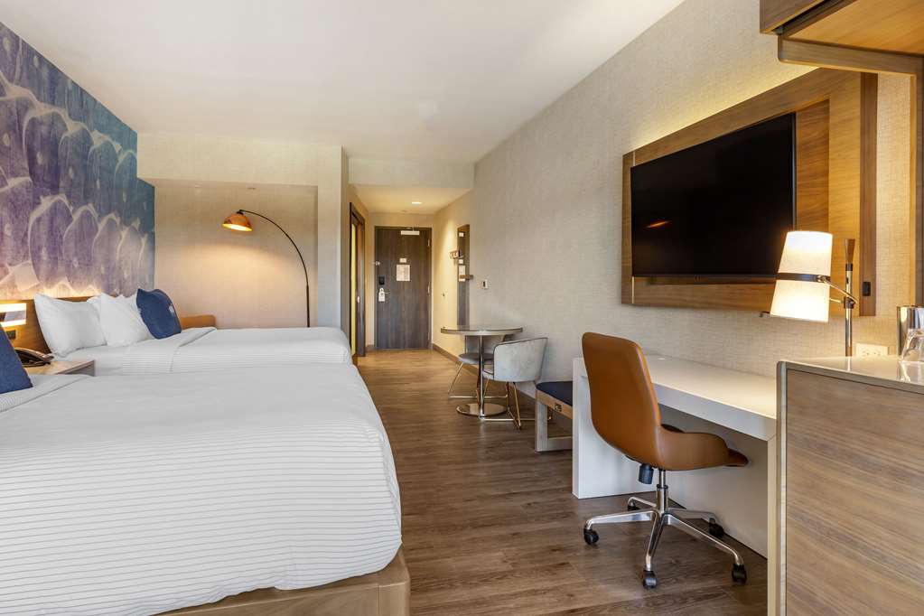Cambria Hotel Manchester South Windsor - photo 34