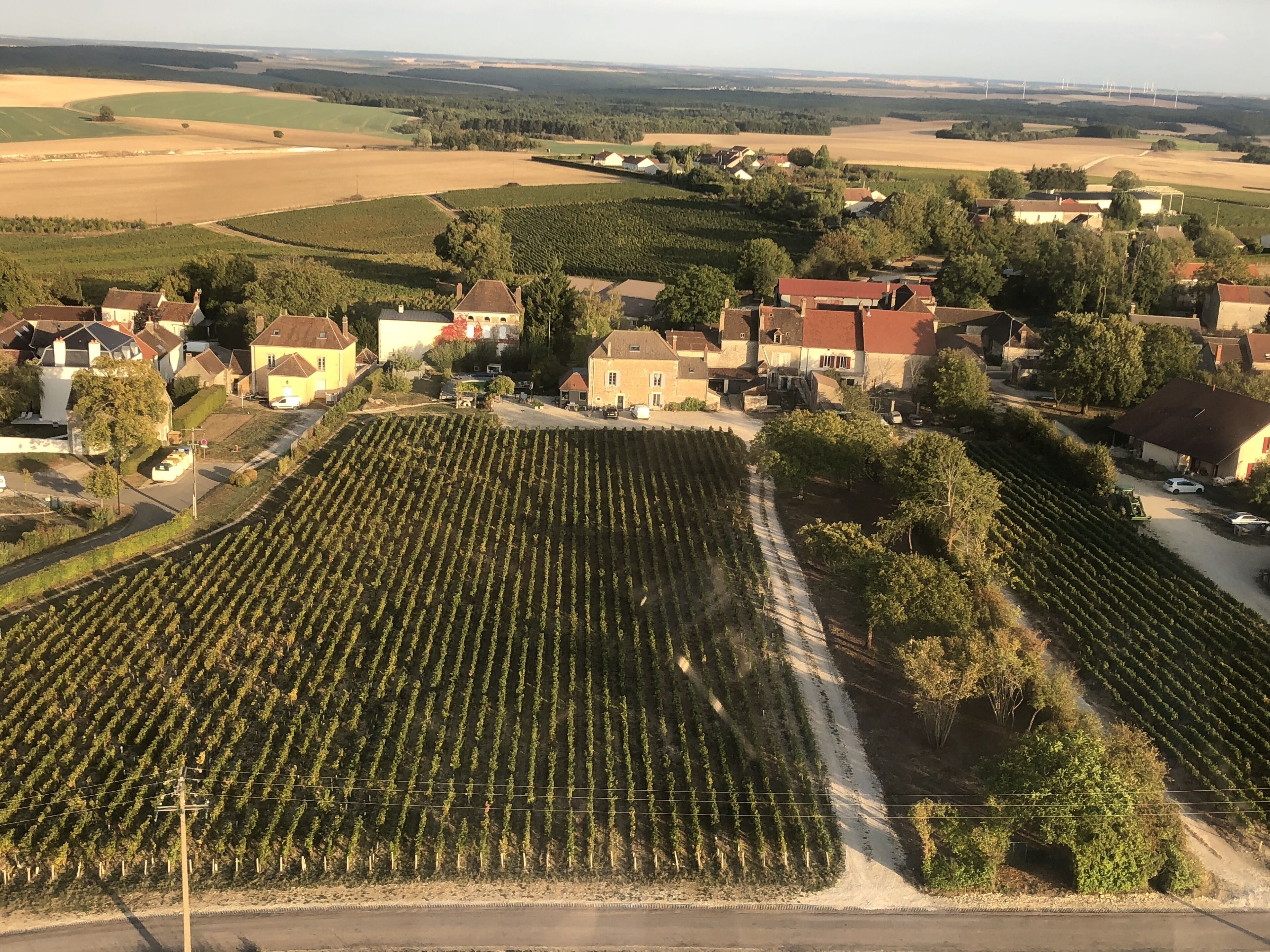 Domaine Céline Et Frédéric Gueguen — Chablis — photo 4