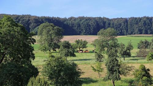 Ferienhof Knoll — Lindenfels — photo 3