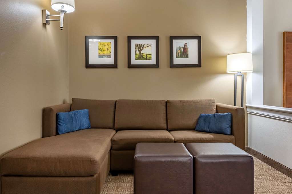 Comfort Suites Hotel and Conference Center - photo 8