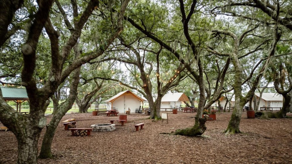 Westgate River Ranch Resort & Rodeo - photo 74
