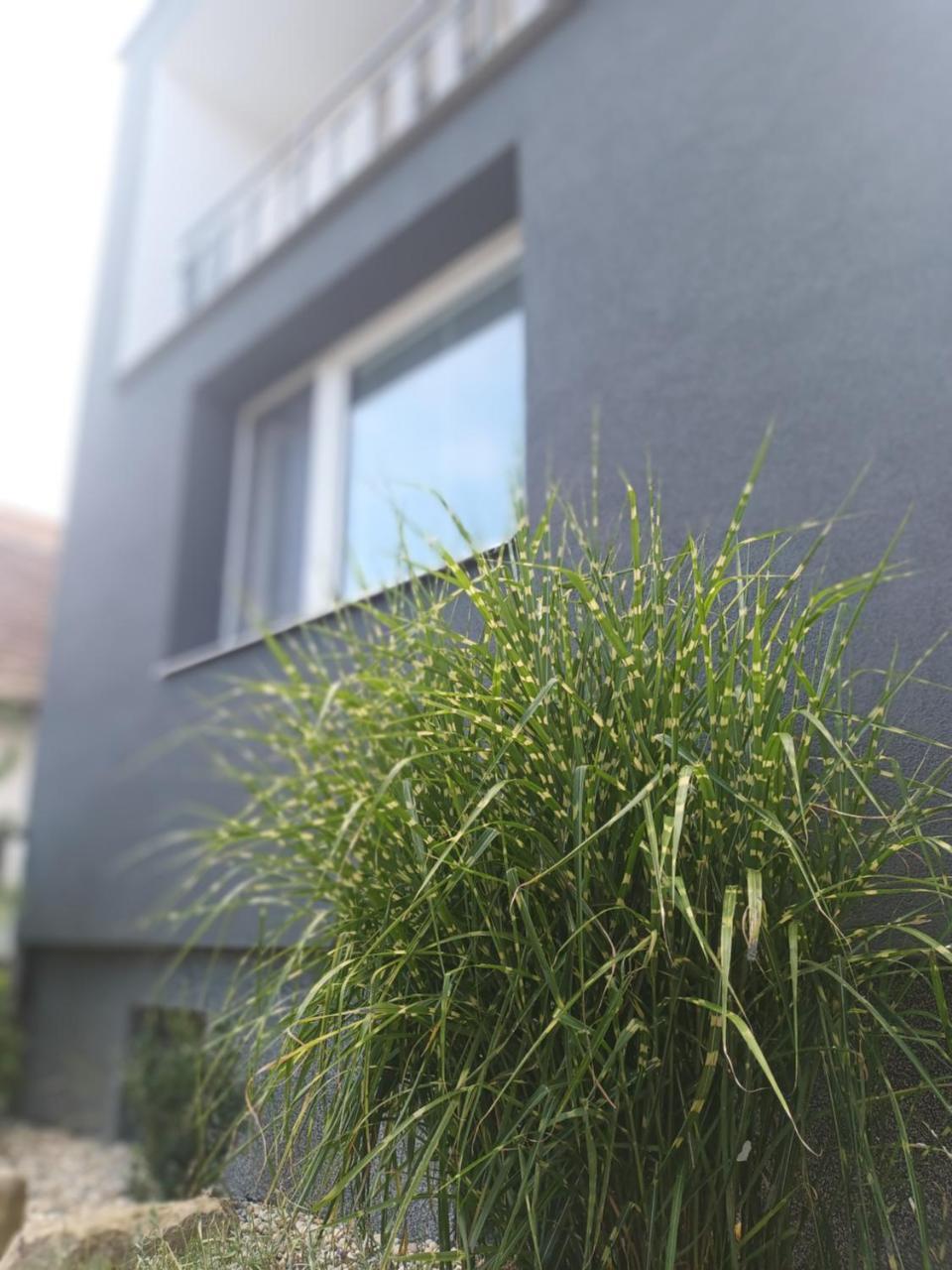 Prazdninovy Dum Na Jizni Morave — Kyjov