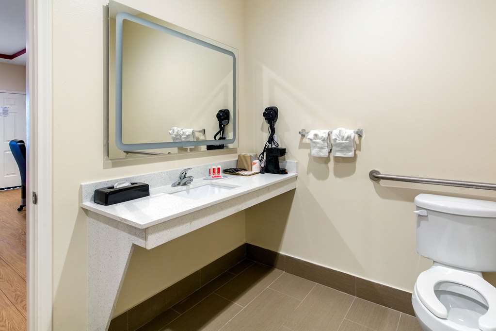 Econo Lodge Inn & Suites Houston Willowbrook - photo 27