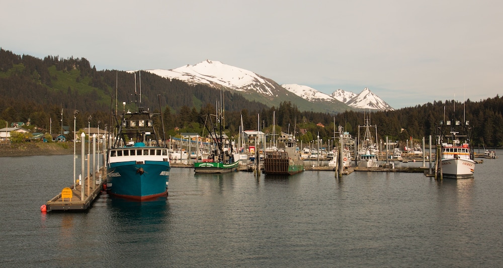 Sea Parrot Inn - photo 33