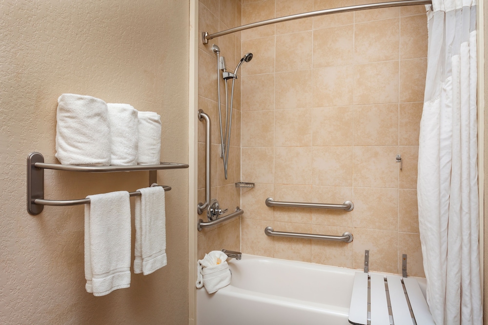 Holiday Inn San Antonio Seaworld by IHG - photo 17
