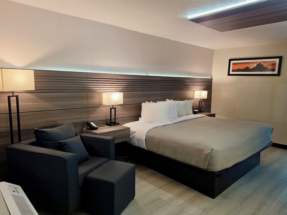Quality Inn & Suites - photo 8