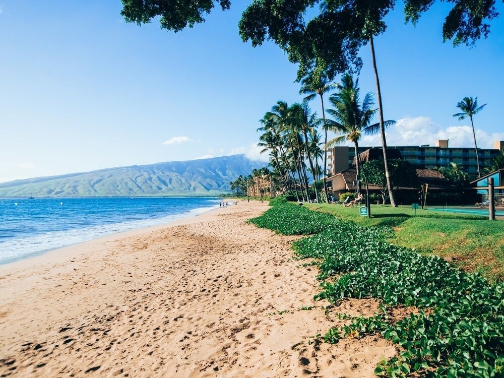 Maalaea Surf Resort - photo 14