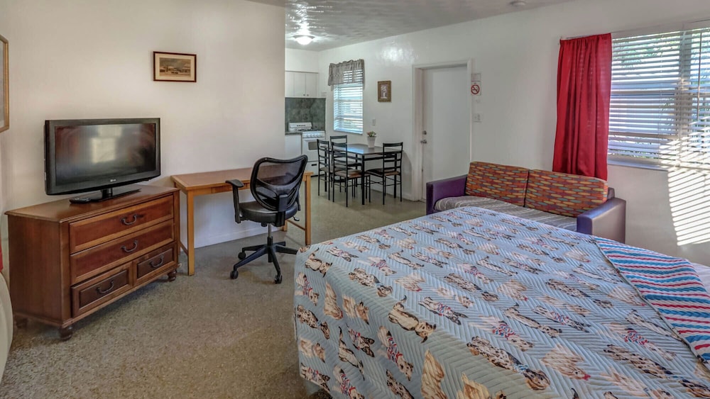 Richard's Pet Friendly Motel - photo 20