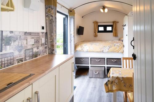 Shepherds hut with valley views in Bodmin, United Kingdom