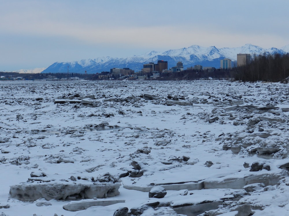 Puffin Inn of Anchorage - photo 36