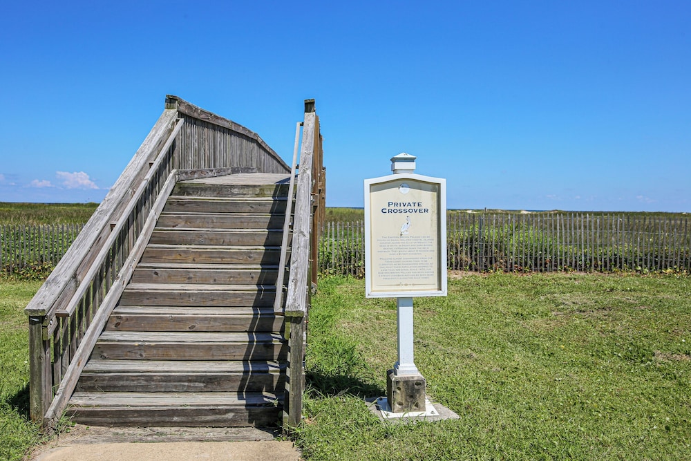 4515bfflampwnh Beachfront Flamingo - photo 10