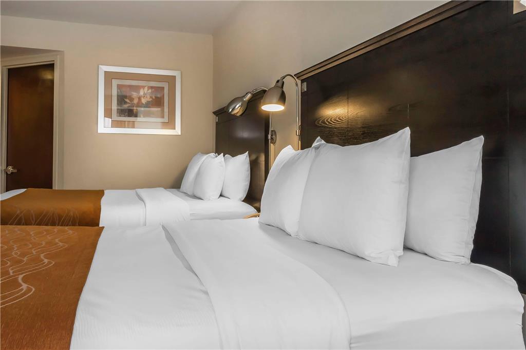 Comfort Inn & Suites LaGuardia Airport - photo 32