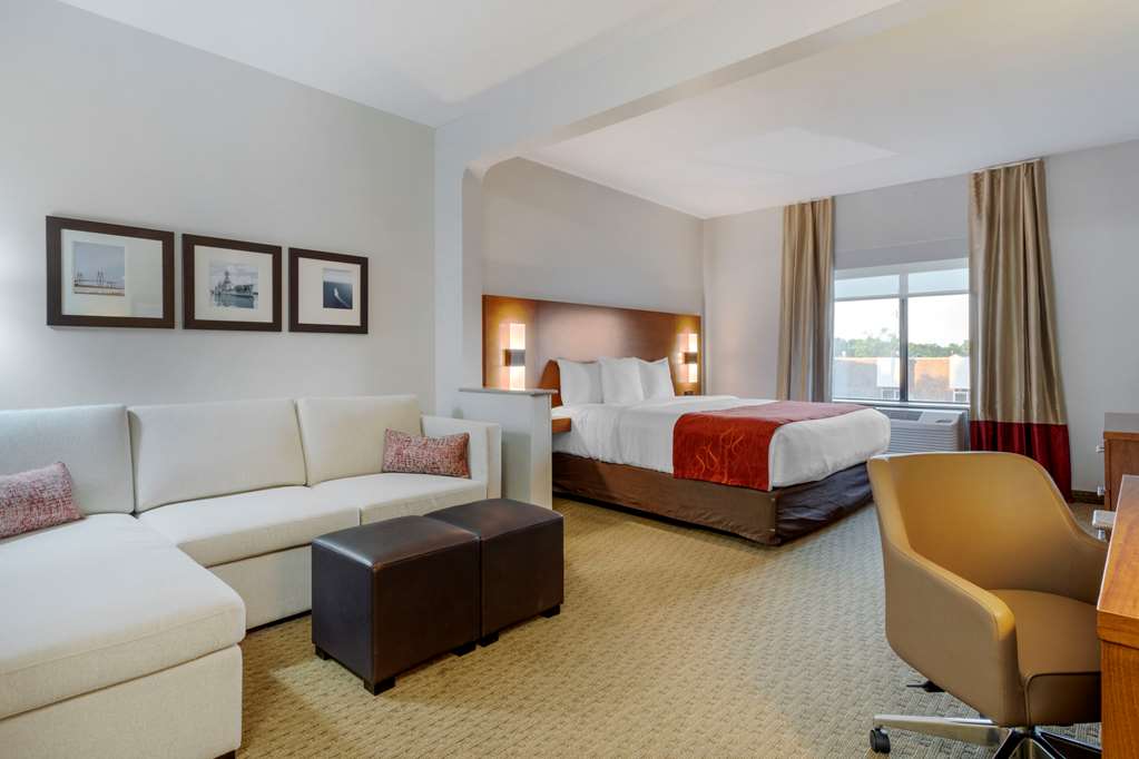 Comfort Suites La Porte Baytown - photo 19