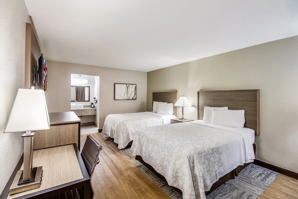 Red Roof Inn PLUS Dallas Addison - photo 24