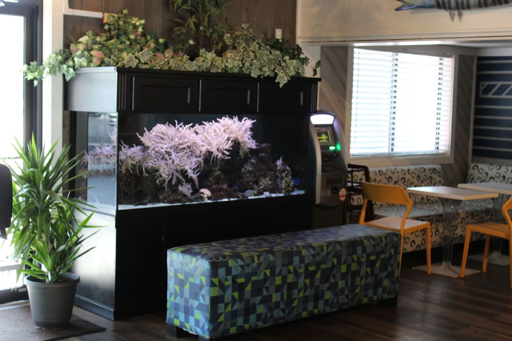 Village Inn Destin - photo 4