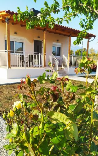 Ilios country house — 4-Star Luxury Hotel in None, Greece