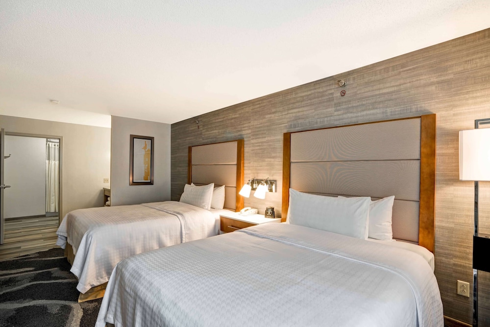 Homewood Suites by Hilton Chicago Downtown - photo 13