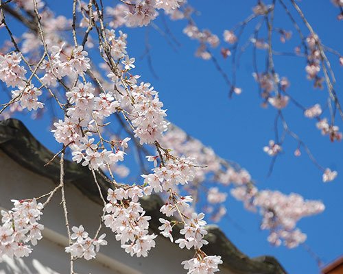 Seifuro in Gifu-Shi, Japan