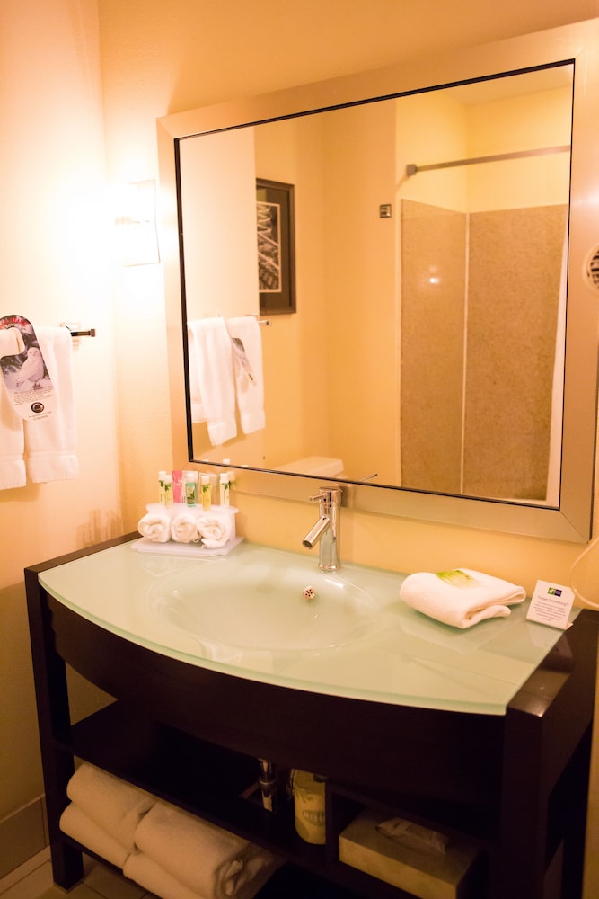 Holiday Inn Express Hotel & Suites Chattanooga Hixson by IHG - photo 34