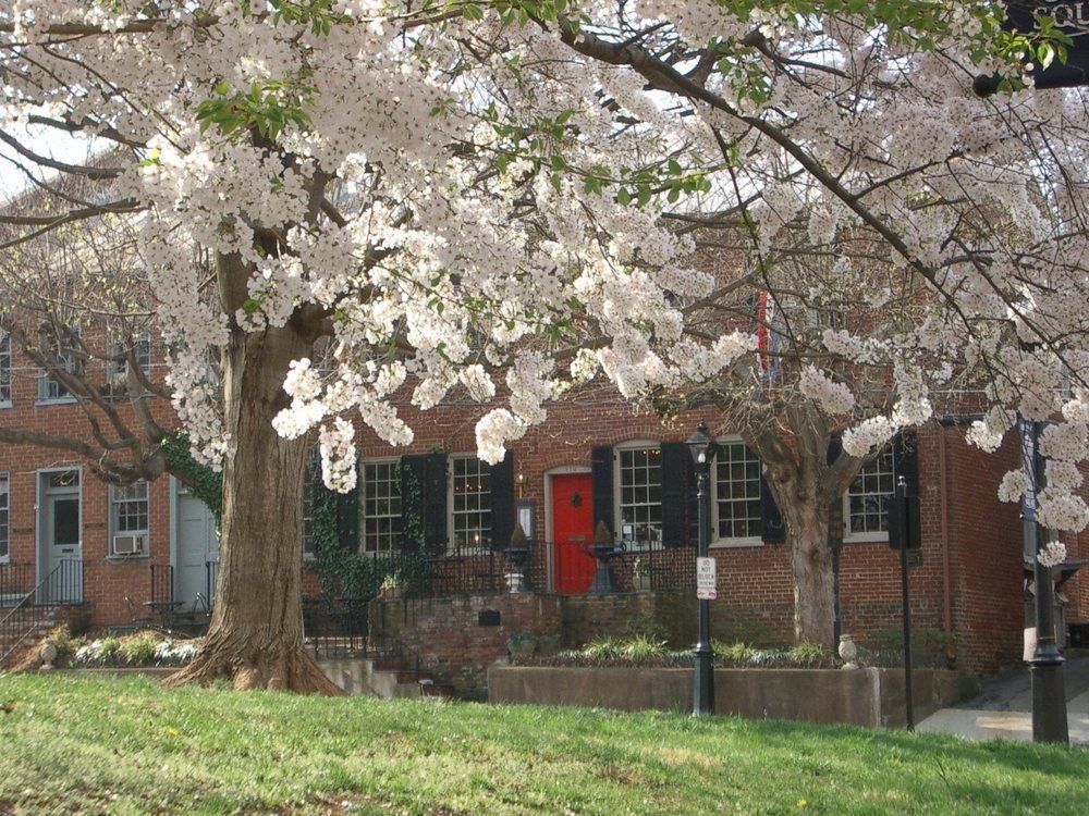 Inn at Court Square - photo 11