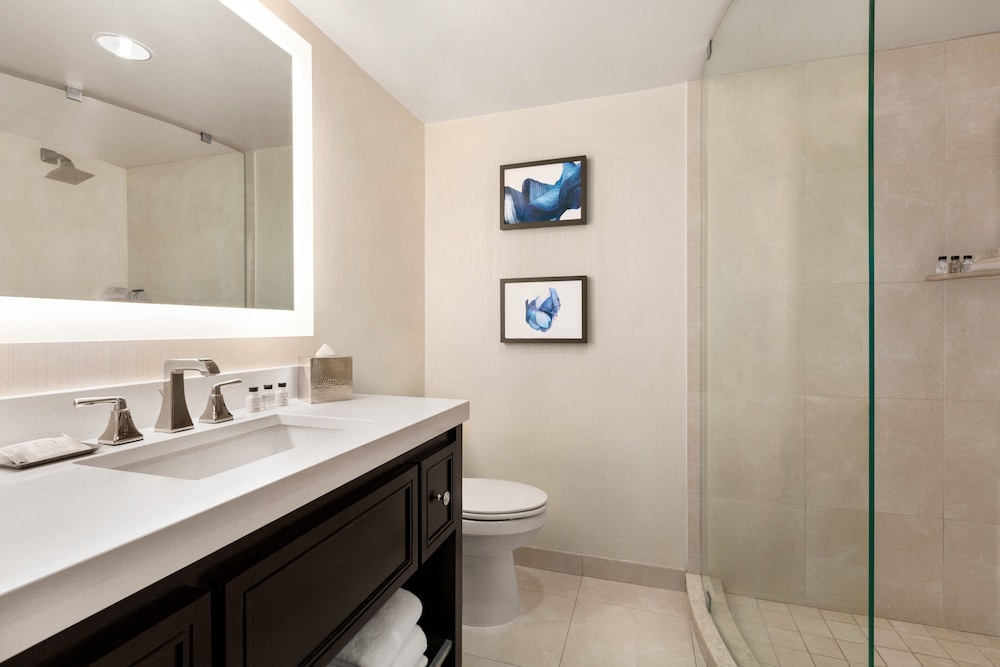 Crowne Plaza: Philadelphia King of Prussia by IHG - photo 17