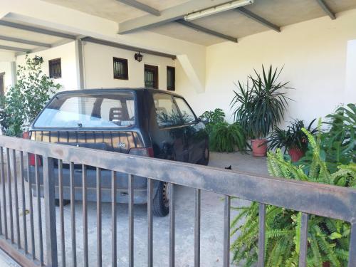 Agroikia — Leonidio — photo 5