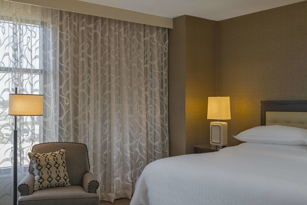 Sheraton Austin Georgetown Hotel & Conference Center - photo 12