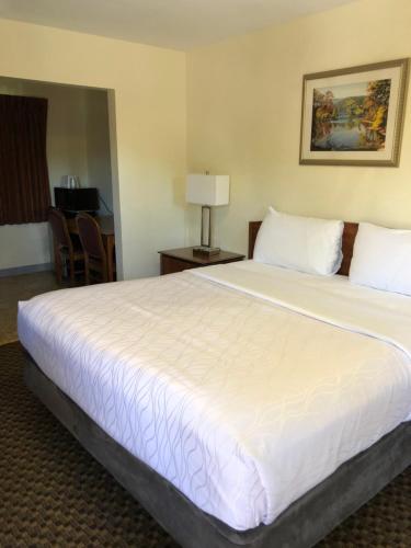 Monticello Motel - photo 11