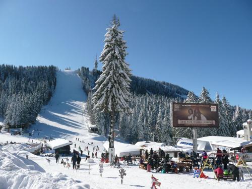Aparthotel Pine Hills Pamporovo in Smolyan, Bulgaria
