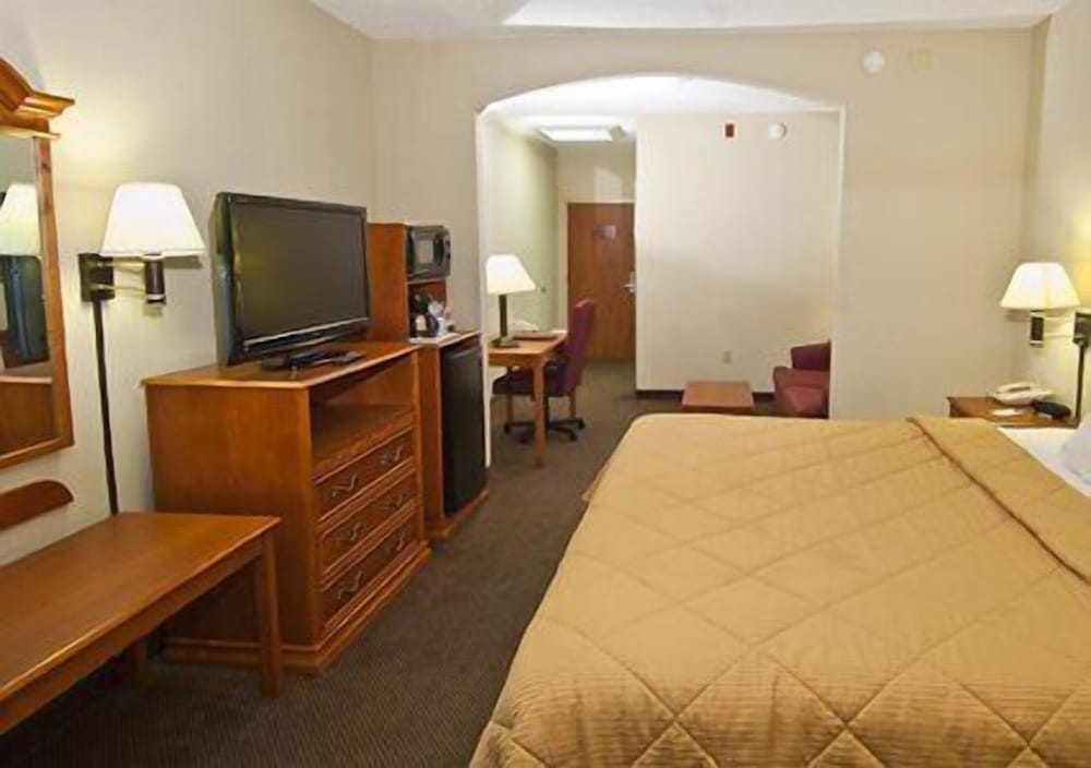 Comfort Inn & Suites Pauls Valley City Lake - photo 4