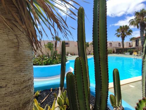 Sakina Parque Paraiso in La Oliva, Spain