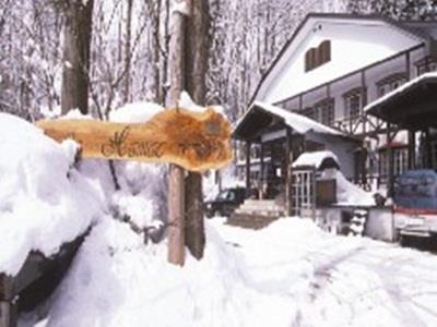 Petite Hotel Hamac - last minute hotel in Hakuba