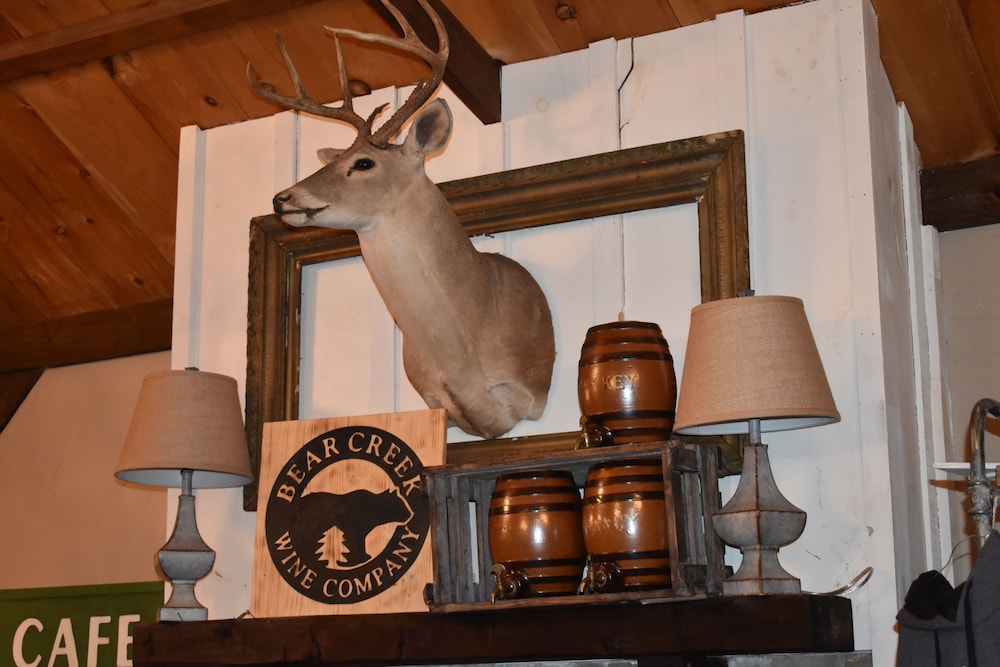 Bear Creek Lodge Cabin Resort - photo 96