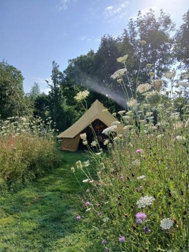 Natuurglamping 't Wijland - last minute hotel in Unknown City