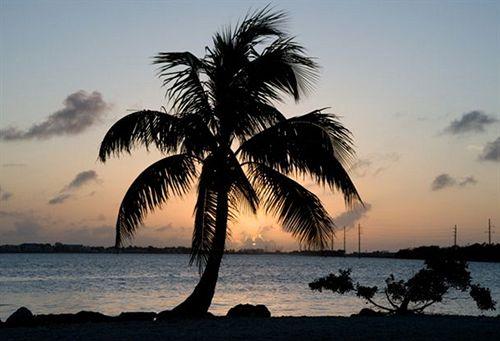 Little Conch Key - photo 5