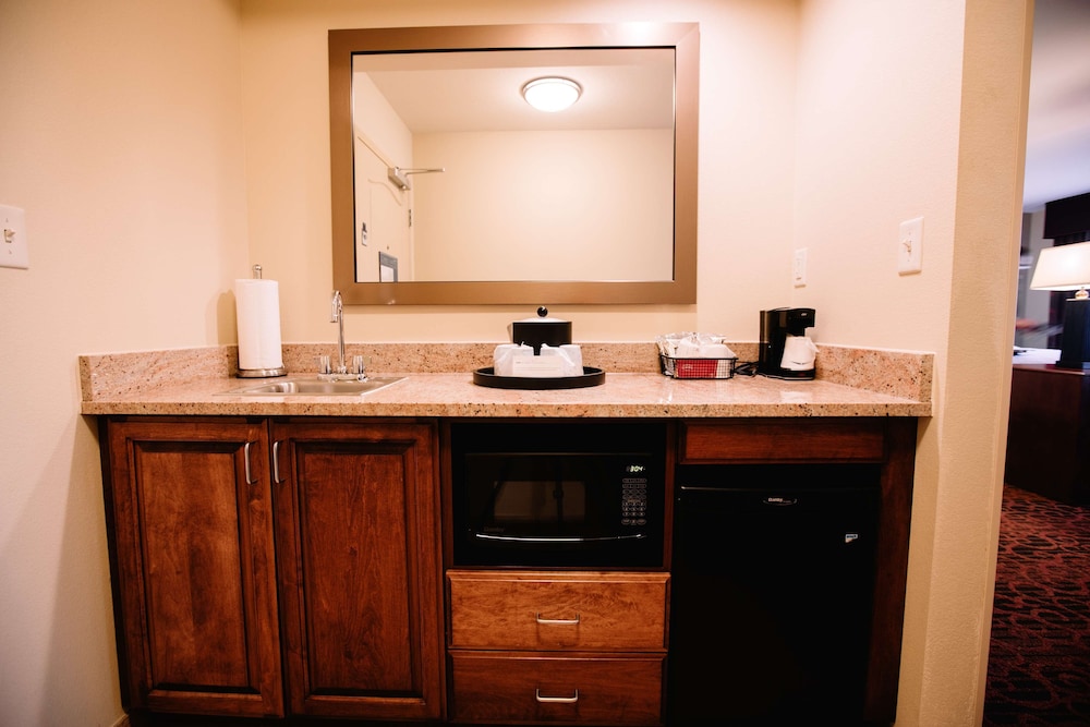Hampton Inn & Suites Minot Airport - photo 10