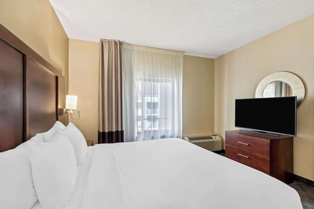 Comfort Inn Roswell Dunwoody - photo 18