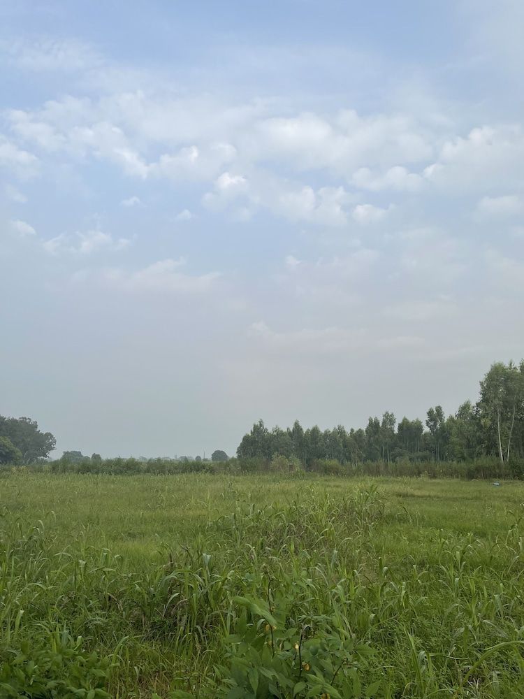 Tree Of Life Dak Bungalow Dera Bassi