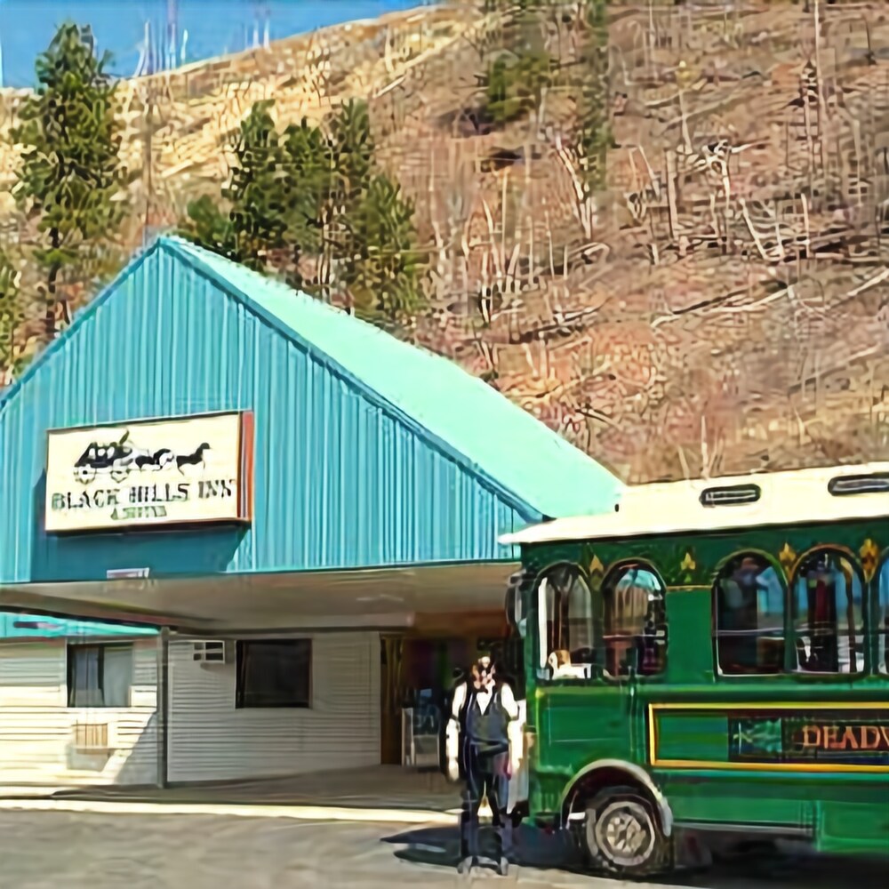 Black Hills Inn & Suites - photo 3